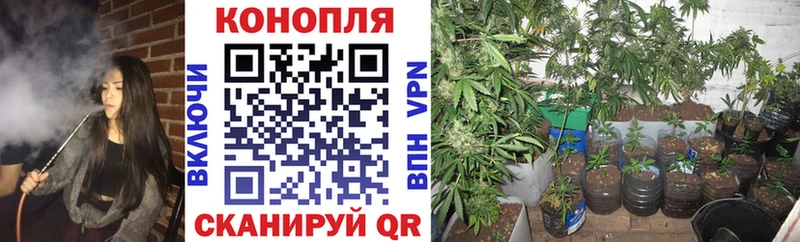Где найти наркотики Хотьково Бошки Шишки  Галлюциногенные грибы  Гашиш  ОМГ ОМГ ссылки  APVP 