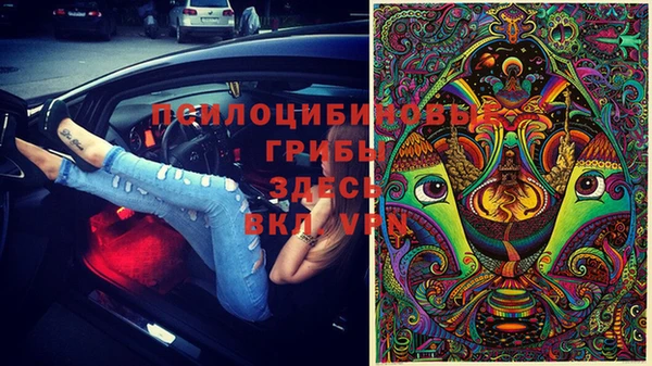 спиды Беломорск