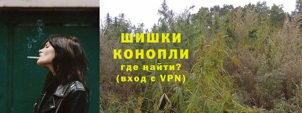 ПСИЛОЦИБИНОВЫЕ ГРИБЫ Белоозёрский