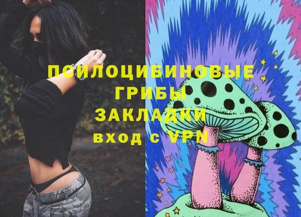 мдма Белокуриха