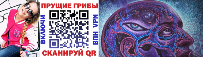 сайты даркнета официальный сайт  Хотьково  Галлюциногенные грибы Cubensis 